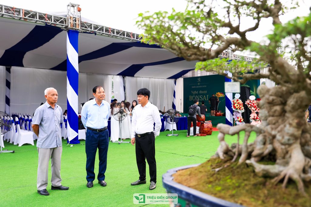 Thiết kế thi công sân vườn trọn gói tại hà nội