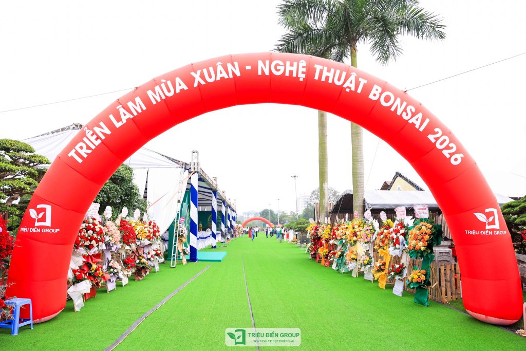 Thiết kế thi công sân vườn trọn gói tại hà nội