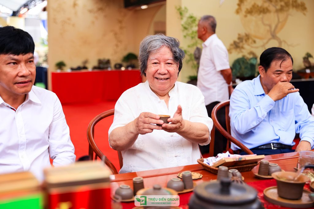 Thiết kế thi công sân vườn trọn gói tại hà nội