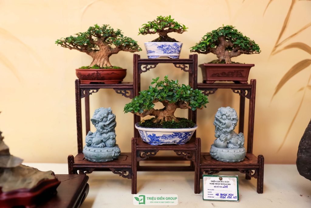 Thiết kế thi công sân vườn trọn gói tại hà nội