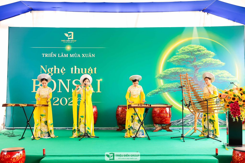 Thiết kế thi công sân vườn trọn gói tại hà nội