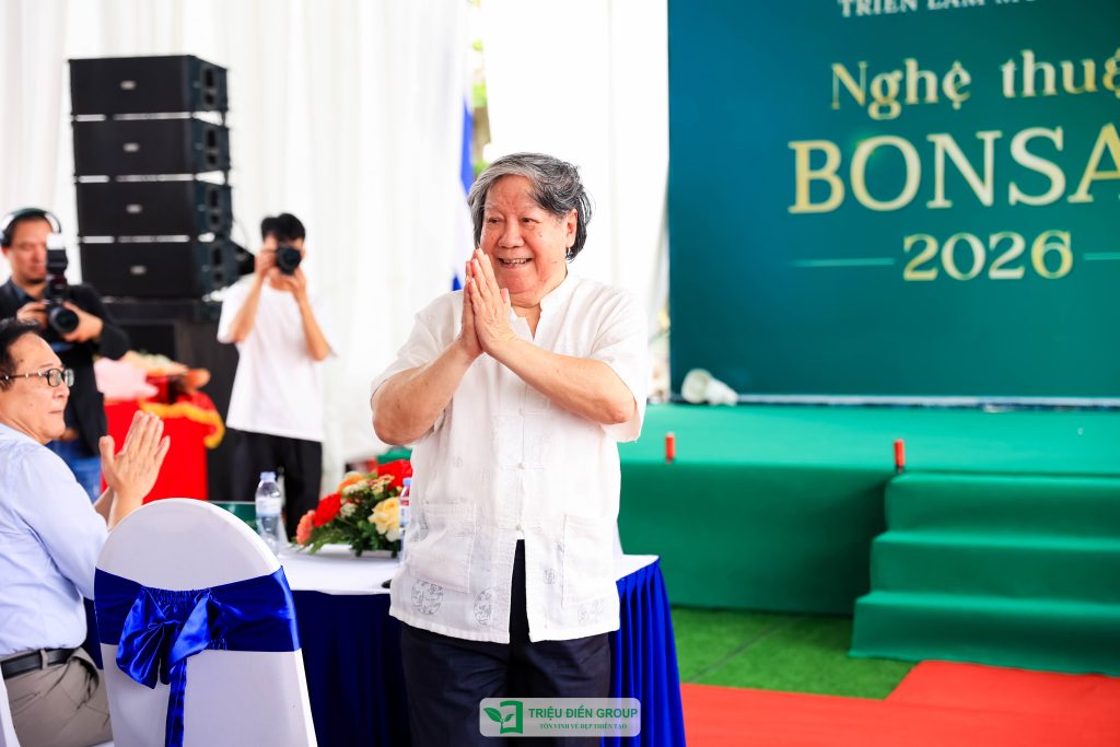 Thiết kế thi công sân vườn trọn gói tại hà nội