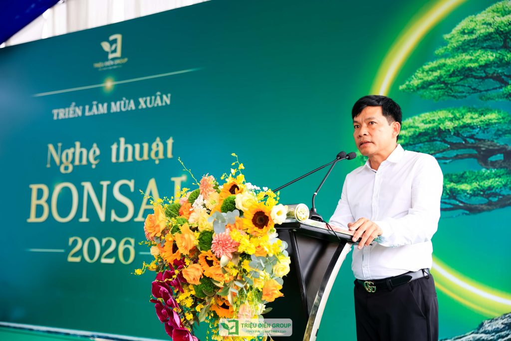 Thiết kế thi công sân vườn trọn gói tại hà nội