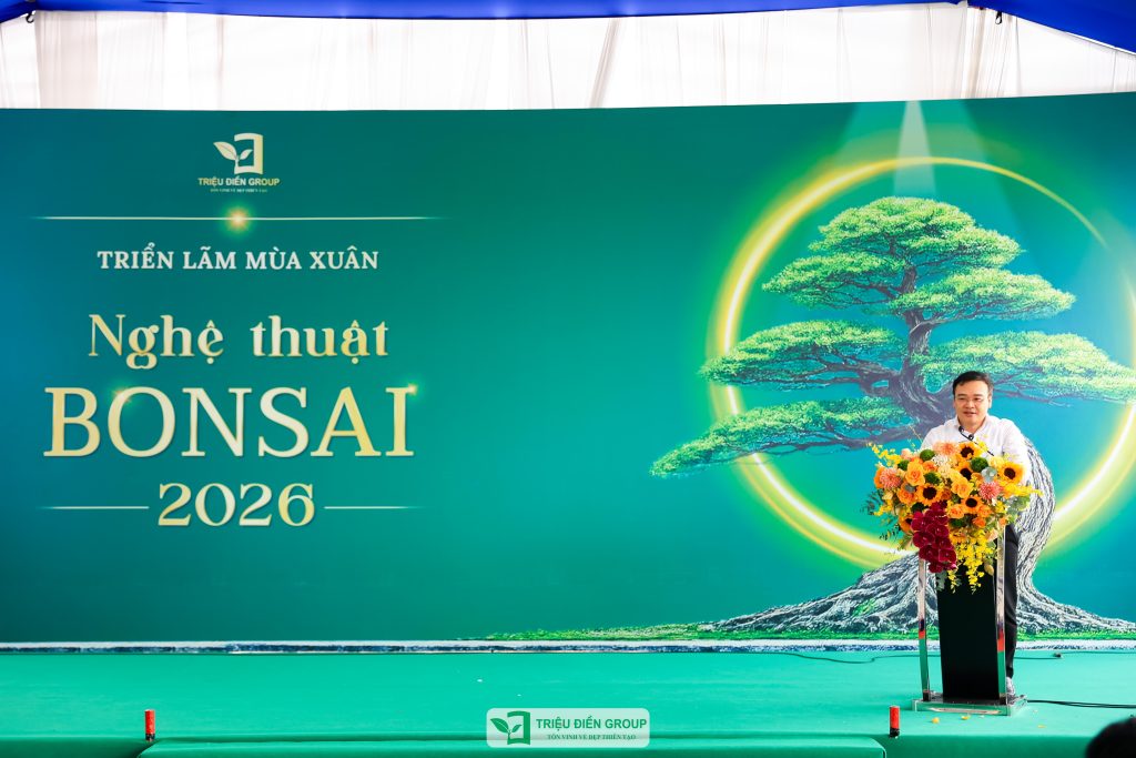 Thiết kế thi công sân vườn trọn gói tại hà nội