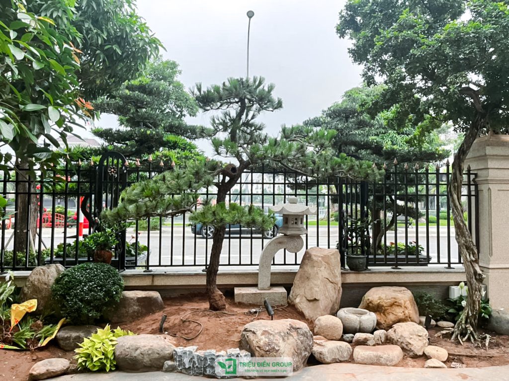 Thiết kế thi công sân vườn trọn gói tại hà nội