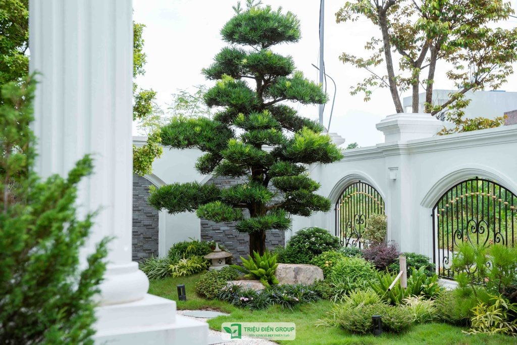 Thiết kế thi công sân vườn trọn gói tại hà nội