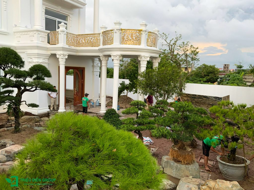 Thiết kế thi công sân vườn trọn gói tại hà nội