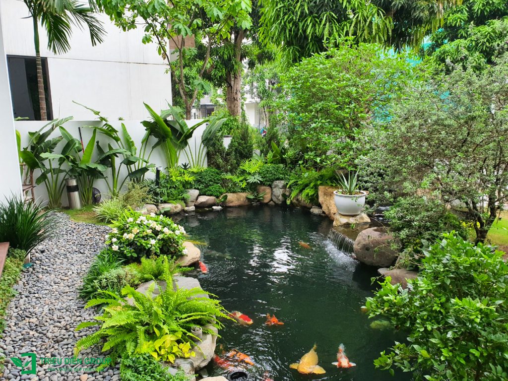 Thiết kế thi công sân vườn trọn gói tại hà nội