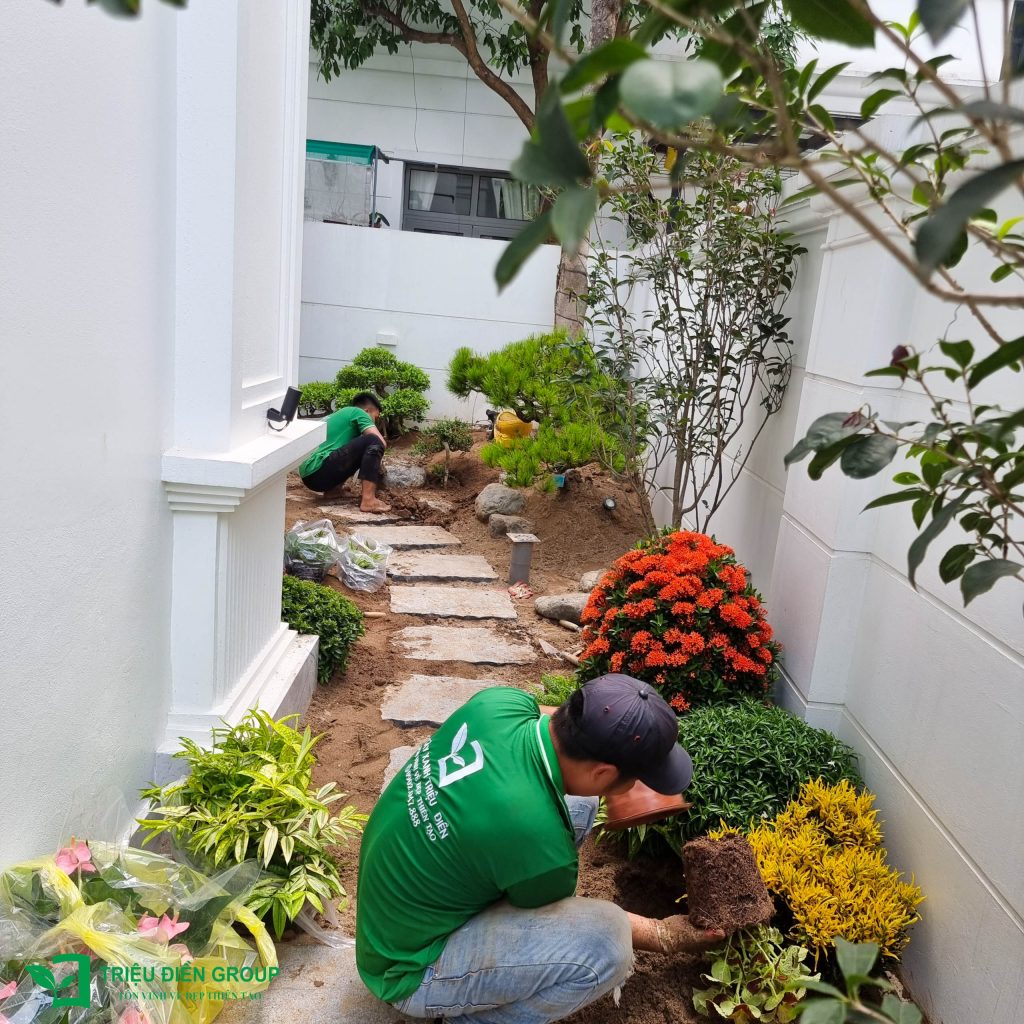 Thiết kế thi công sân vườn trọn gói tại hà nội