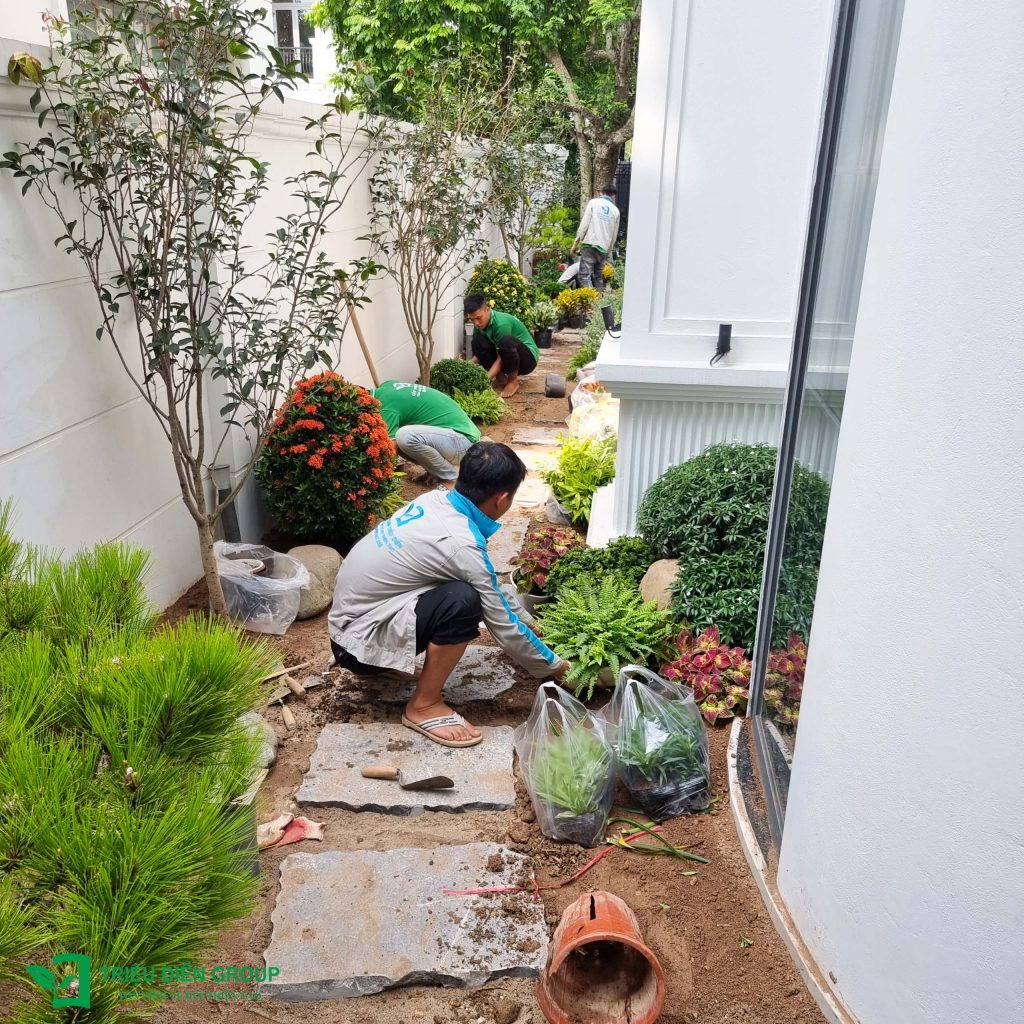 Thiết kế thi công sân vườn trọn gói tại hà nội