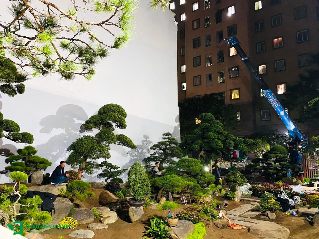 Thiết kế thi công sân vườn trọn gói tại hà nội