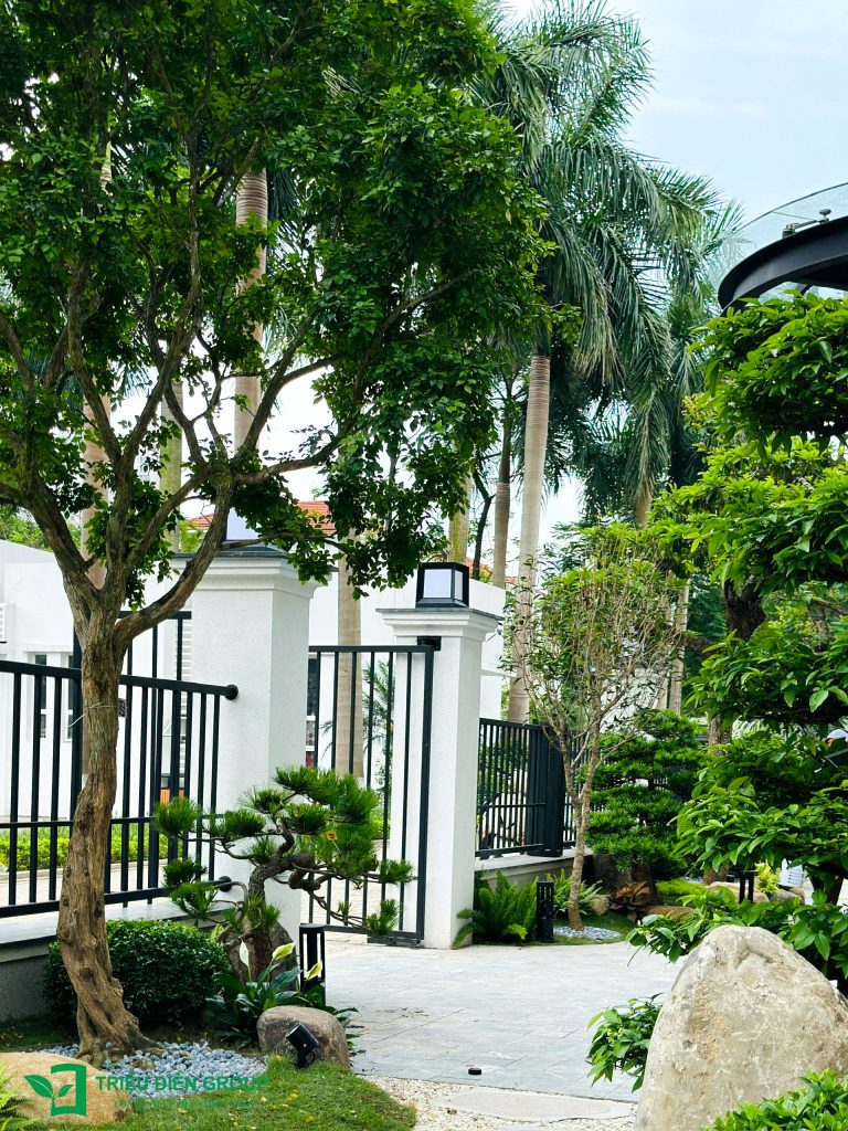 Thiết kế thi công sân vườn trọn gói tại hà nội