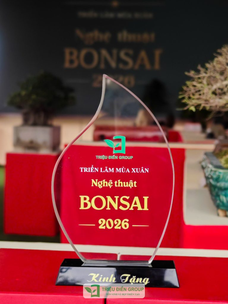 Thiết kế thi công sân vườn trọn gói tại hà nội