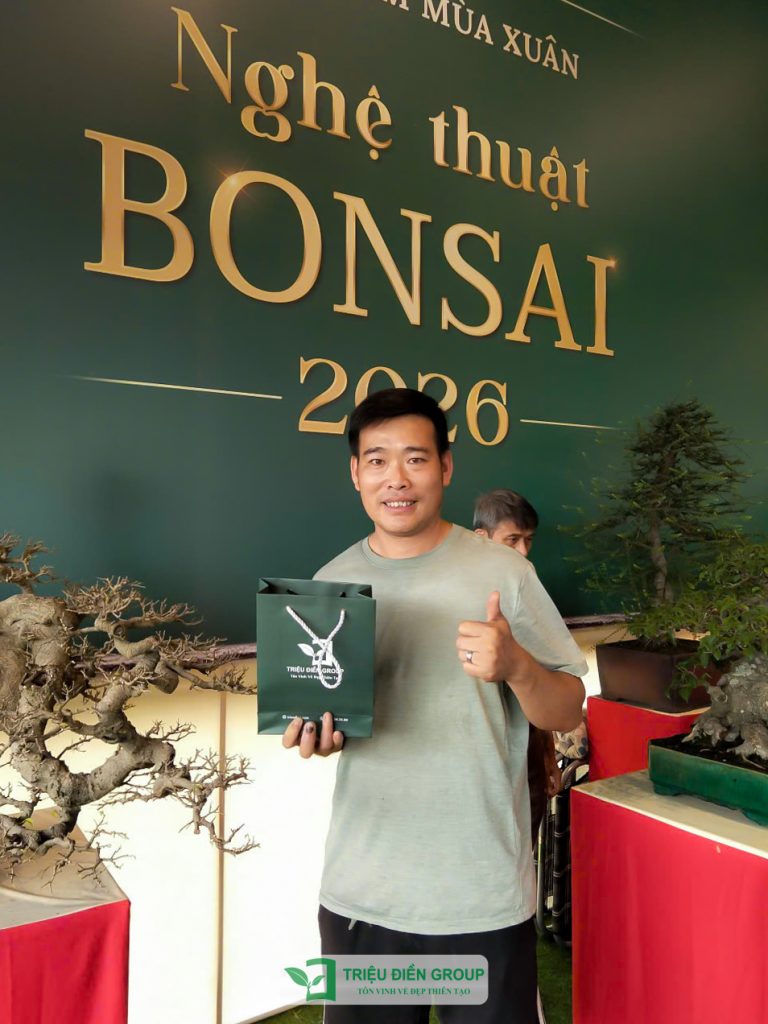 Thiết kế thi công sân vườn trọn gói tại hà nội