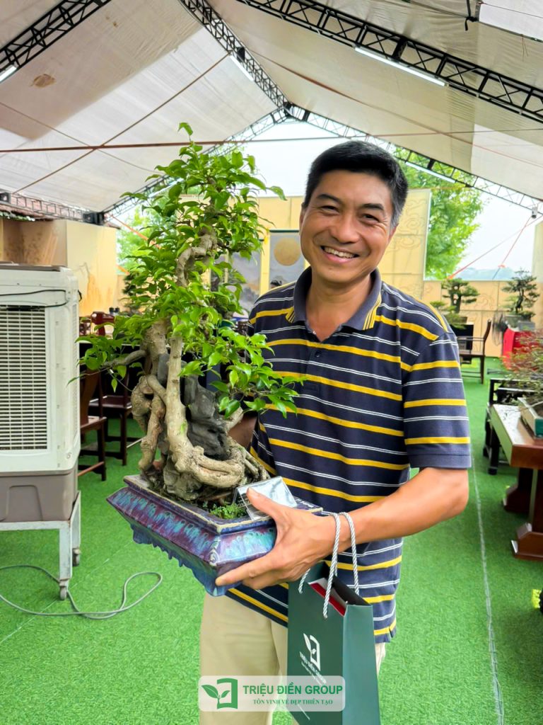 Thiết kế thi công sân vườn trọn gói tại hà nội