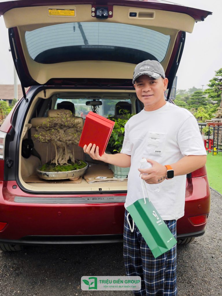 Thiết kế thi công sân vườn trọn gói tại hà nội