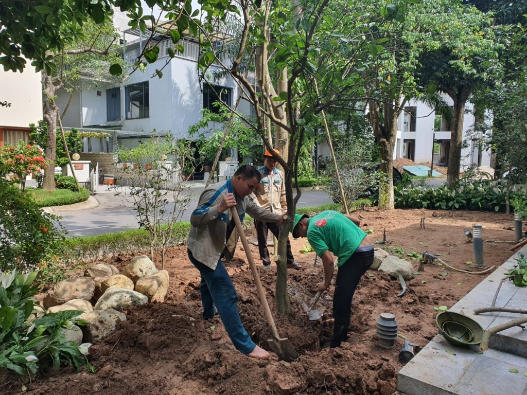 Thiết kế thi công sân vườn trọn gói tại hà nội
