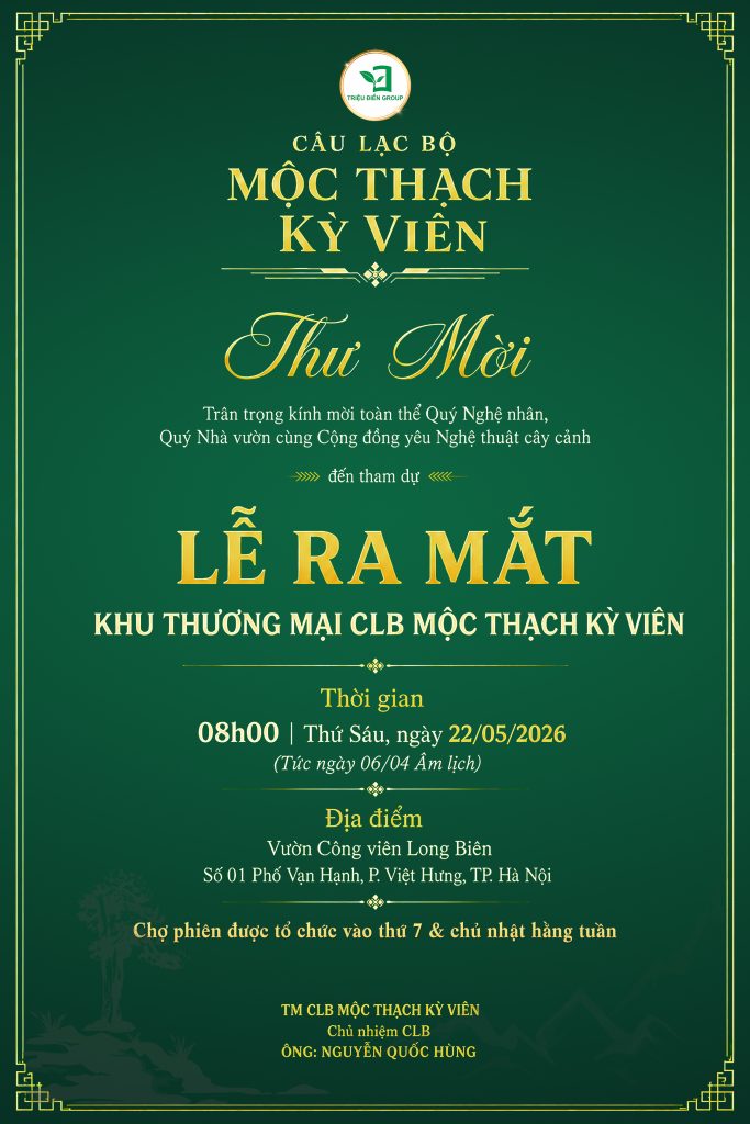 Thiết kế thi công sân vườn trọn gói tại hà nội