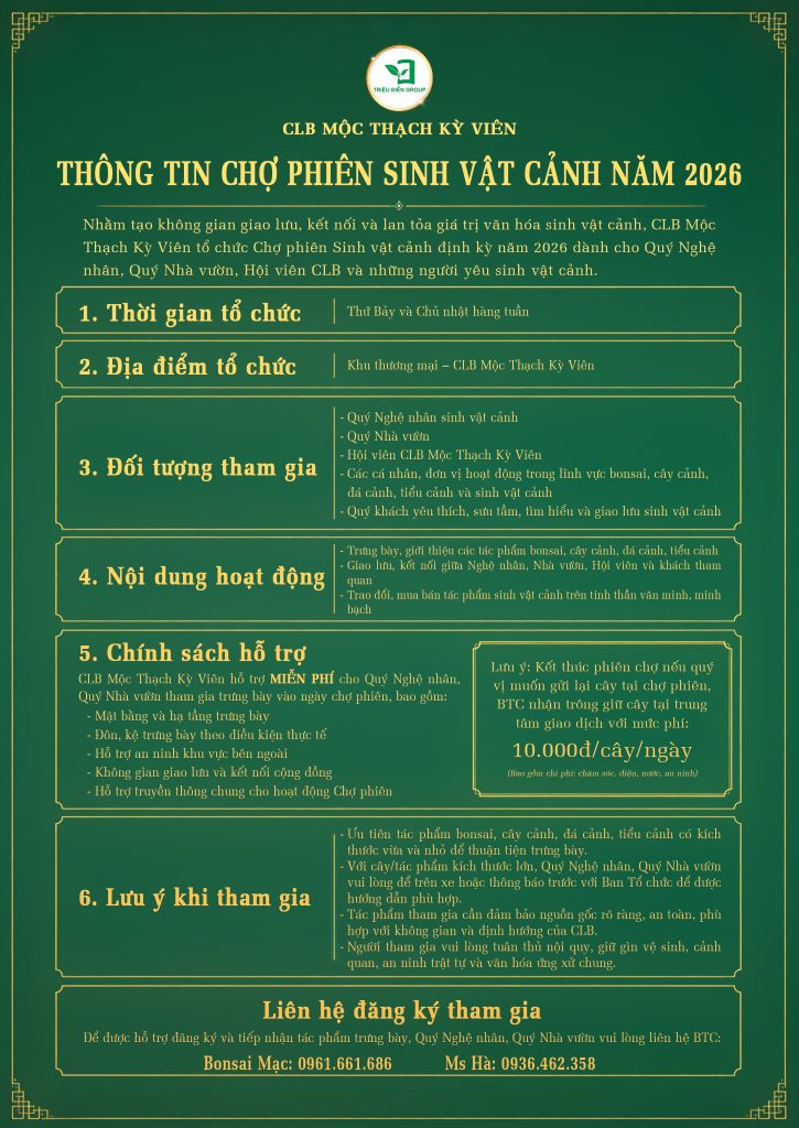 Thiết kế thi công sân vườn trọn gói tại hà nội