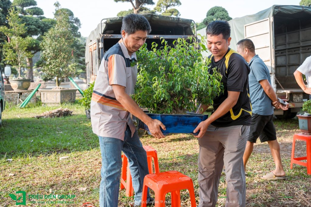 Thiết kế thi công sân vườn trọn gói tại hà nội