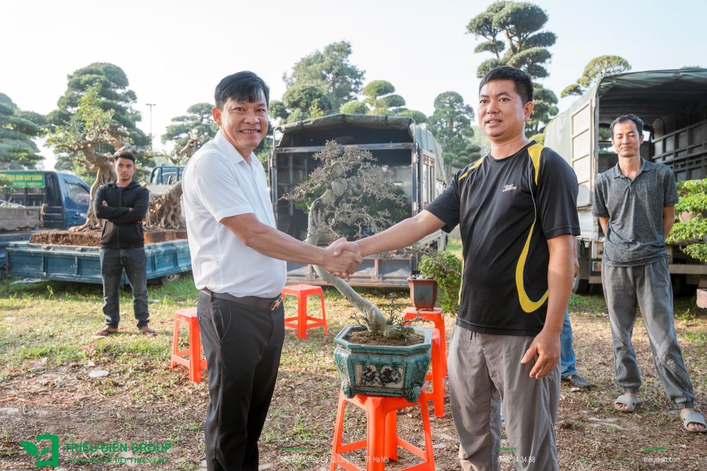Thiết kế thi công sân vườn trọn gói tại hà nội
