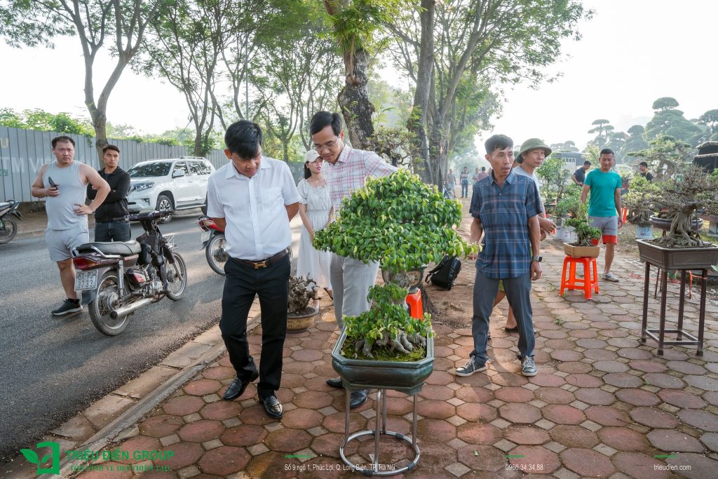 Thiết kế thi công sân vườn trọn gói tại hà nội