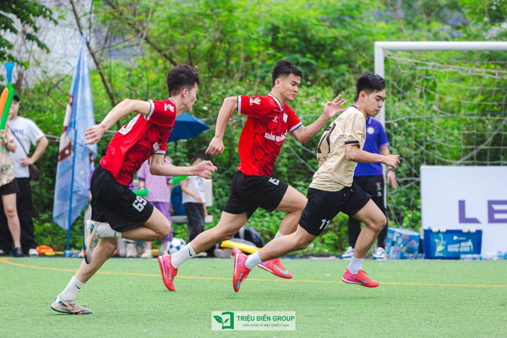 Thiết kế thi công sân vườn trọn gói tại hà nội