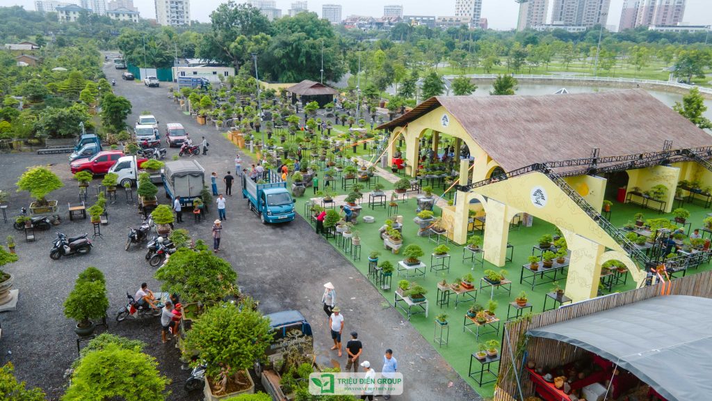 Thiết kế thi công sân vườn trọn gói tại hà nội