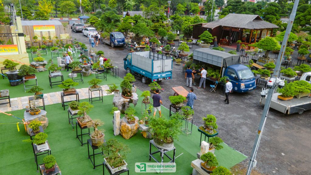 Thiết kế thi công sân vườn trọn gói tại hà nội
