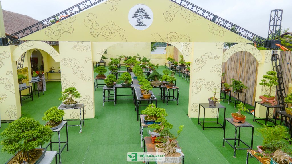 Thiết kế thi công sân vườn trọn gói tại hà nội