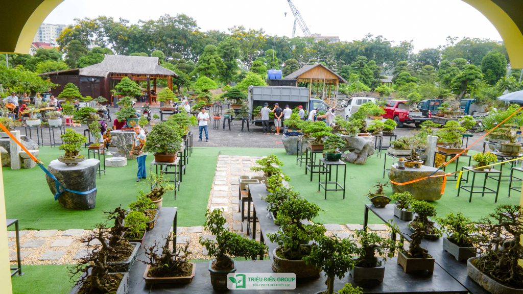 Thiết kế thi công sân vườn trọn gói tại hà nội