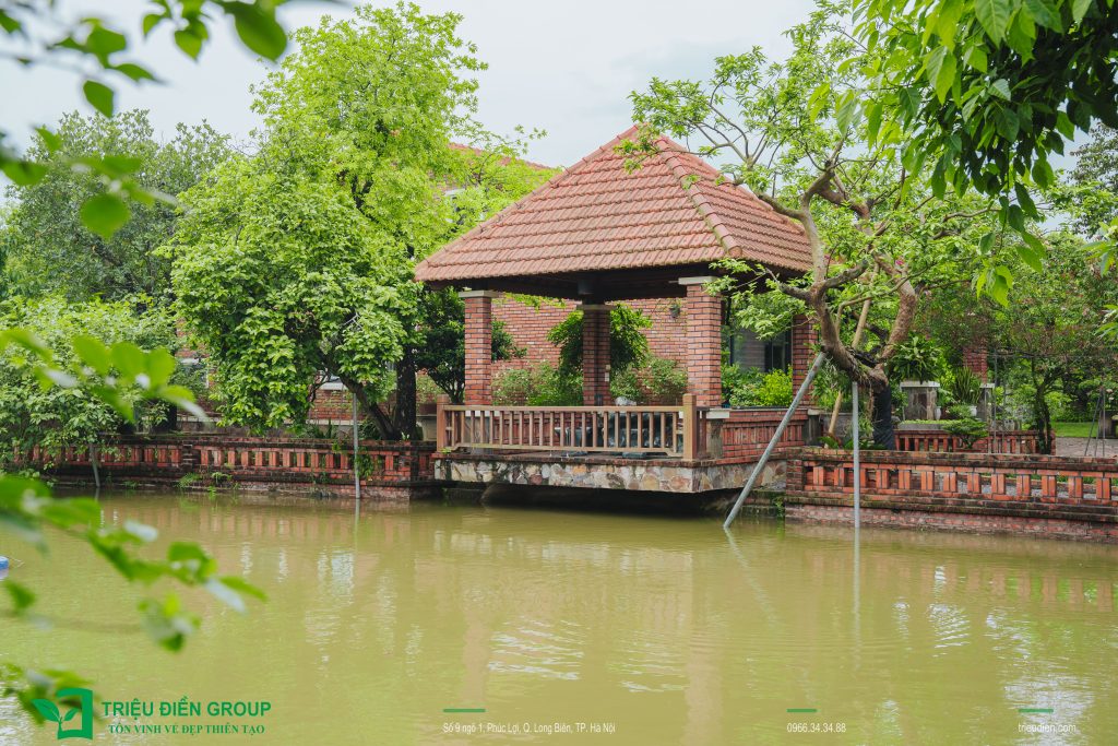Thiết kế sân vườn: Giải pháp giúp không gian sống xanh và mát hơn mùa hè này 11 Thiết kế thi công sân vườn trọn gói tại hà nội