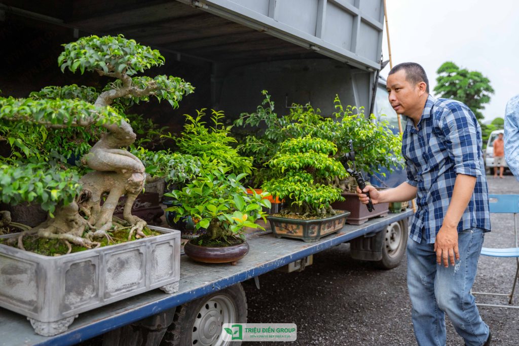 Thiết kế thi công sân vườn trọn gói tại hà nội