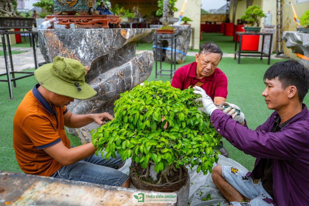Thiết kế thi công sân vườn trọn gói tại hà nội