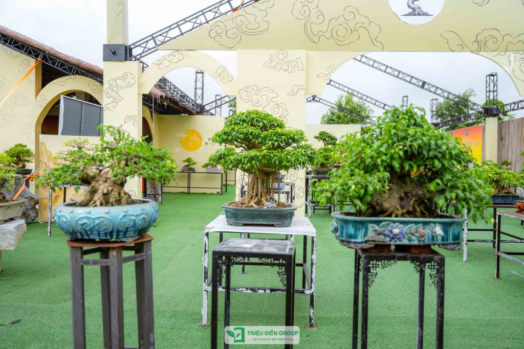 Thiết kế thi công sân vườn trọn gói tại hà nội