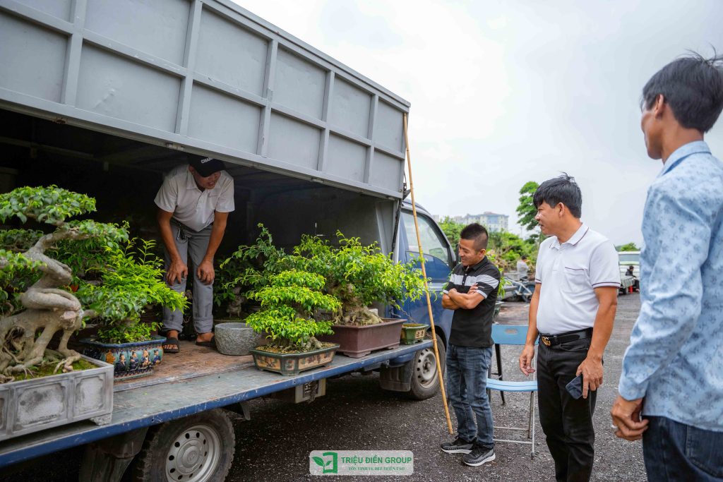 Thiết kế thi công sân vườn trọn gói tại hà nội