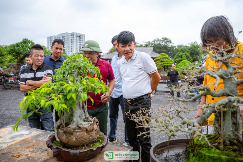 Thiết kế thi công sân vườn trọn gói tại hà nội