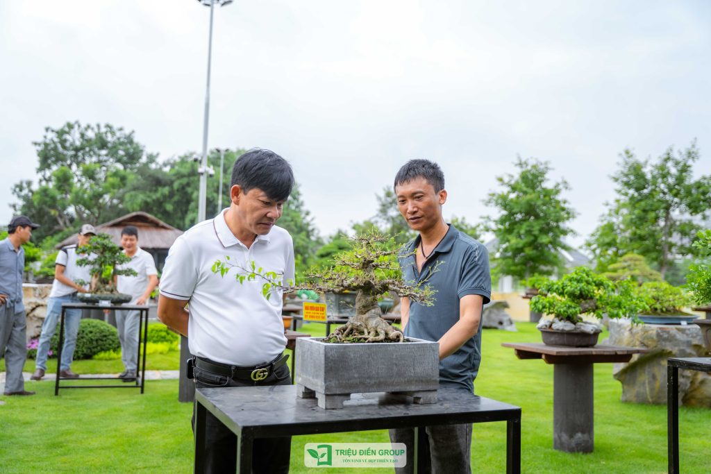Thiết kế thi công sân vườn trọn gói tại hà nội