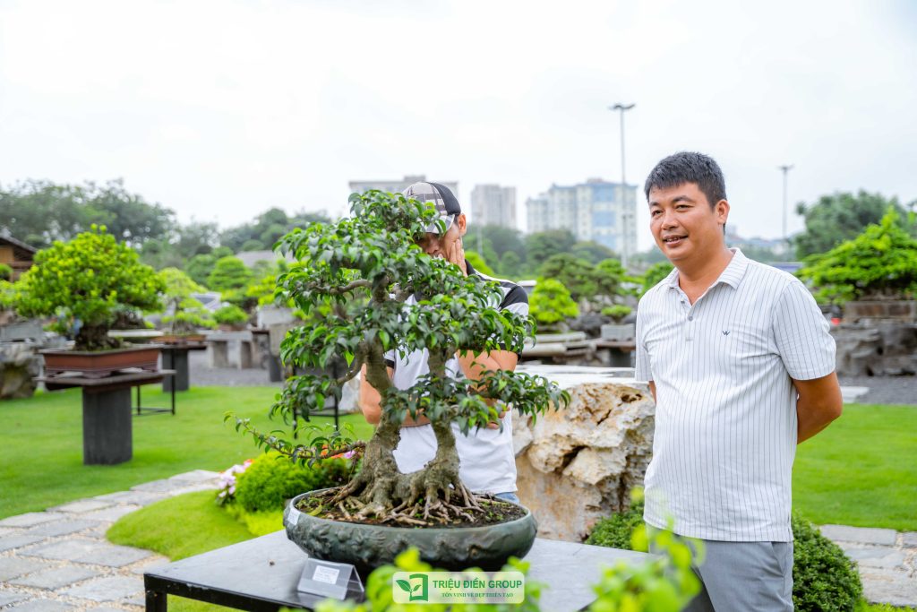 Thiết kế thi công sân vườn trọn gói tại hà nội