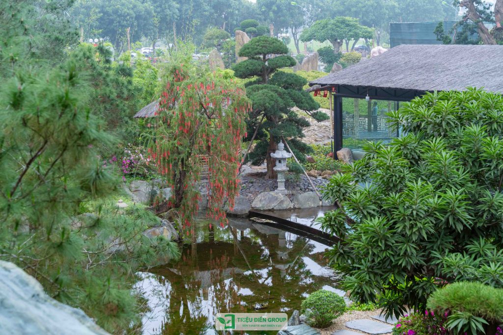 Thiết kế thi công sân vườn trọn gói tại hà nội