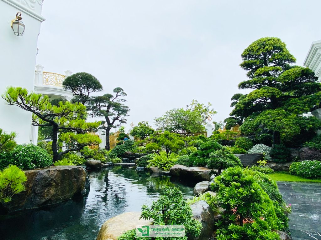 Thiết kế sân vườn: Giải pháp giúp không gian sống xanh và mát hơn mùa hè này 3 Thiết kế thi công sân vườn trọn gói tại hà nội