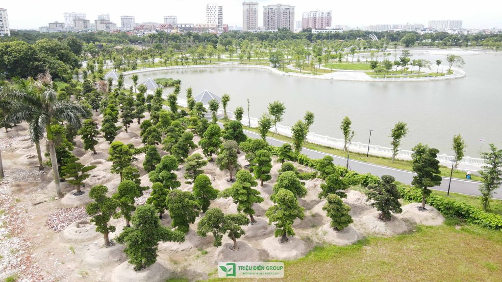 Thiết kế thi công sân vườn trọn gói tại hà nội