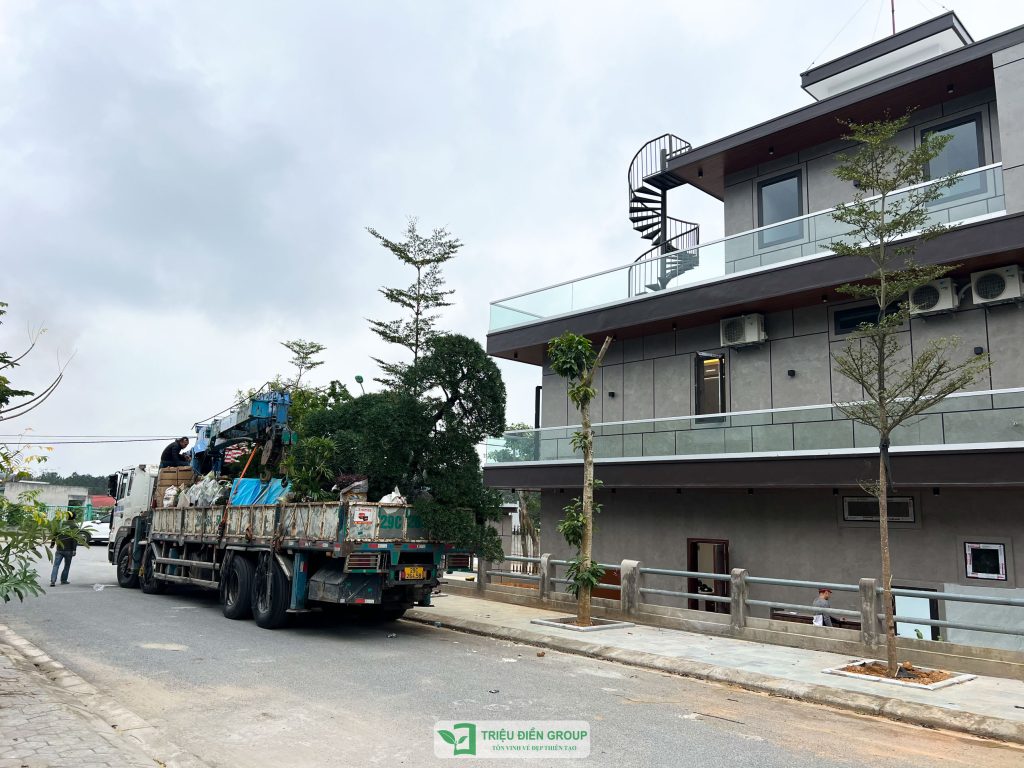 Thiết kế thi công sân vườn trọn gói tại hà nội