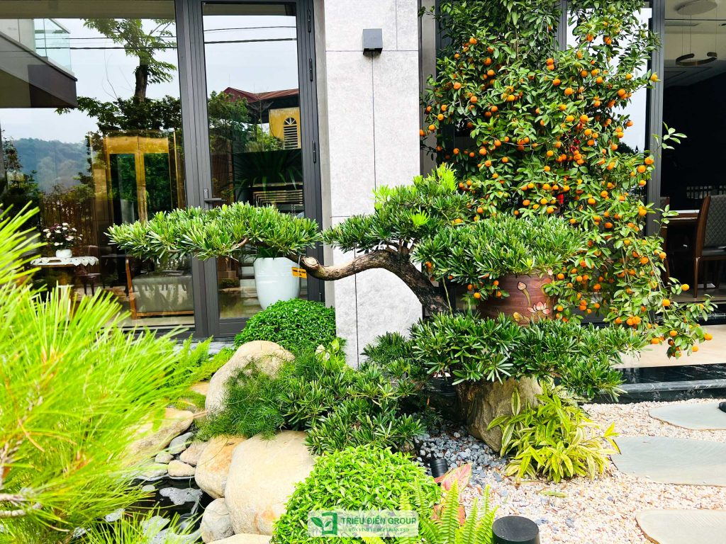 Thiết kế thi công sân vườn trọn gói tại hà nội