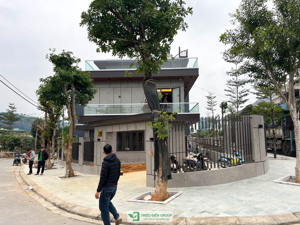 Thiết kế thi công sân vườn trọn gói tại hà nội