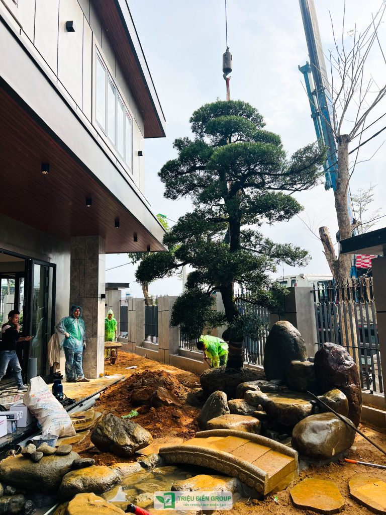 Thiết kế thi công sân vườn trọn gói tại hà nội