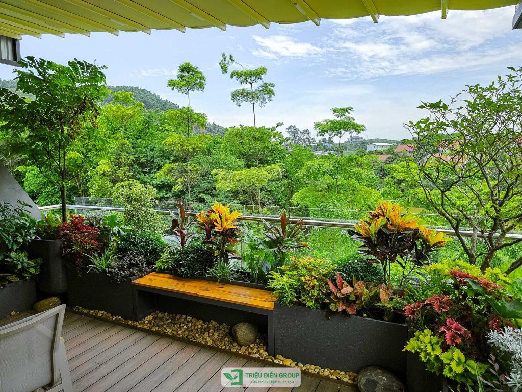 Thiết kế sân vườn: Giải pháp giúp không gian sống xanh và mát hơn mùa hè này 12 Thiết kế thi công sân vườn trọn gói tại hà nội