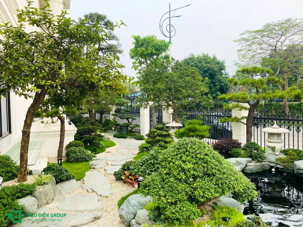 Thiết kế thi công sân vườn trọn gói tại hà nội