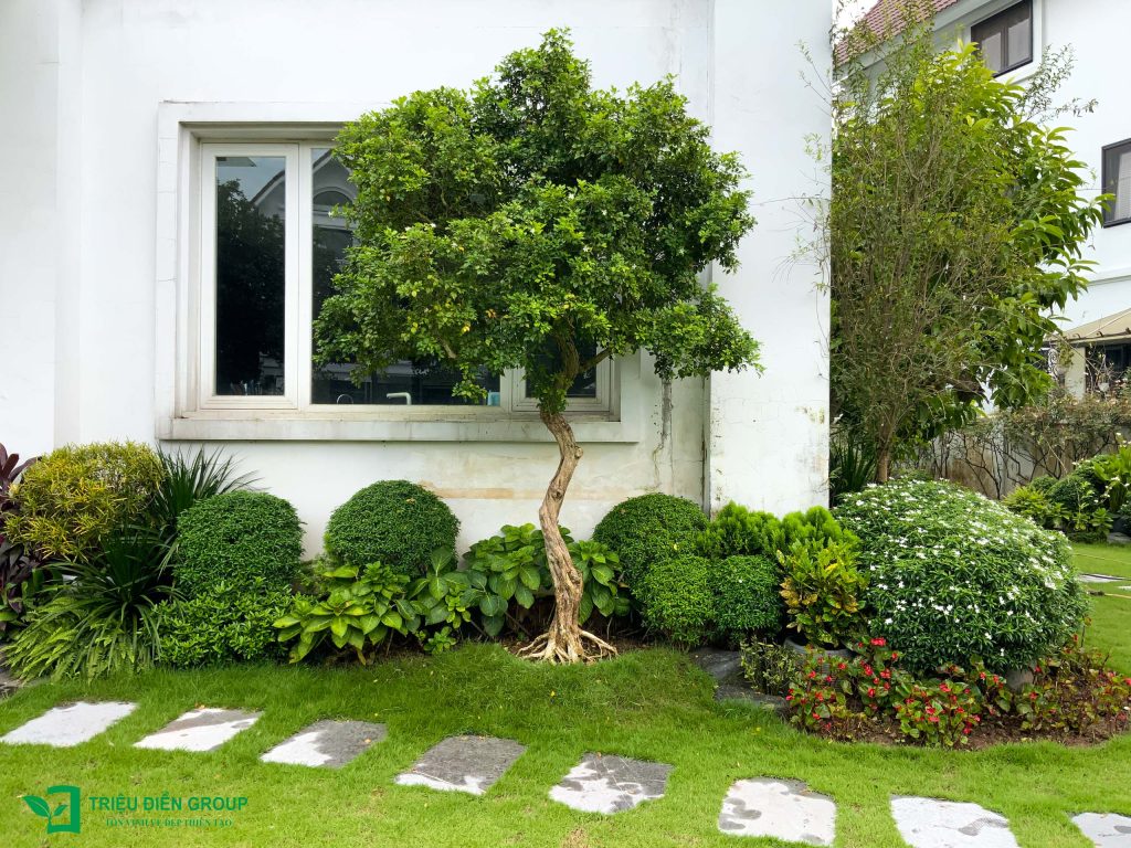 Thiết kế thi công sân vườn trọn gói tại hà nội
