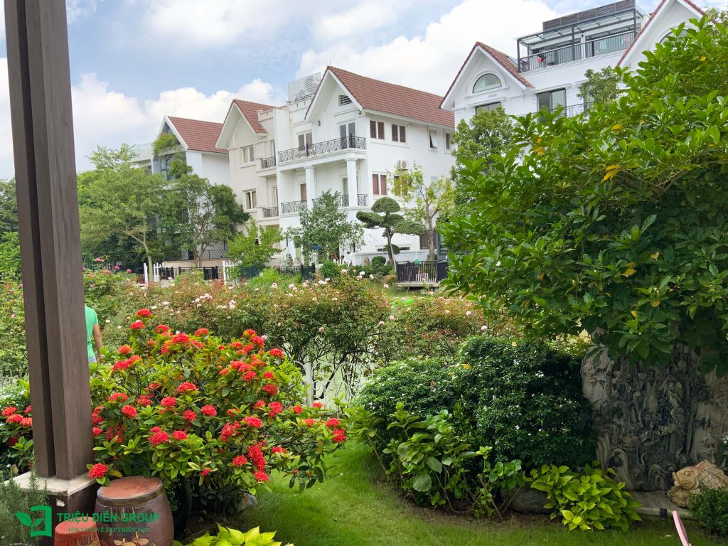 Thiết kế thi công sân vườn trọn gói tại hà nội
